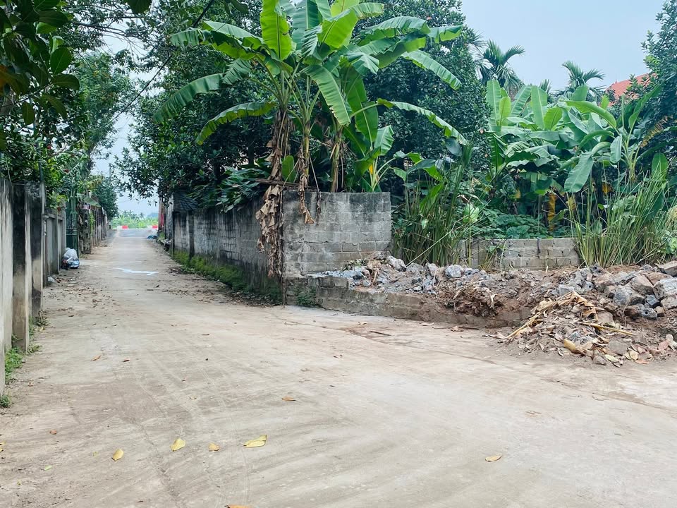 Đất nền Vân Nam, Hoài Đức 110m² - Ô tô quay đầu, vị trí kinh doanh tiềm năng!