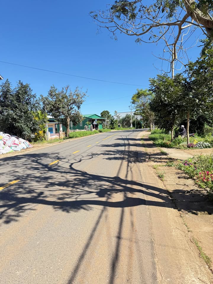 Đất nền đường DH11, Quảng Lập, Đơn Dương 320m² - Sẵn sàng kinh doanh!