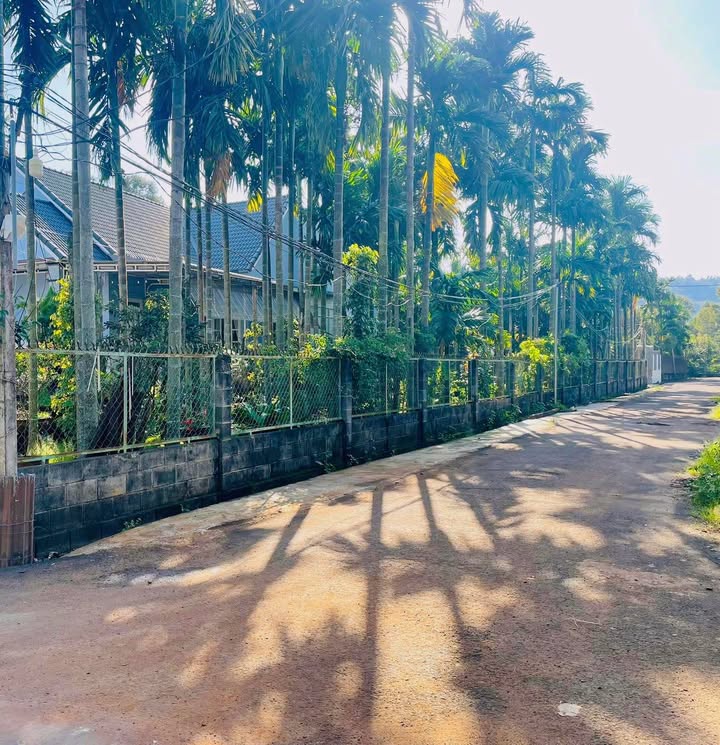 Đất nền Cư Kuin Đắk Lắk 246m² giá 966 triệu - Cơ hội đầu tư hấp dẫn!