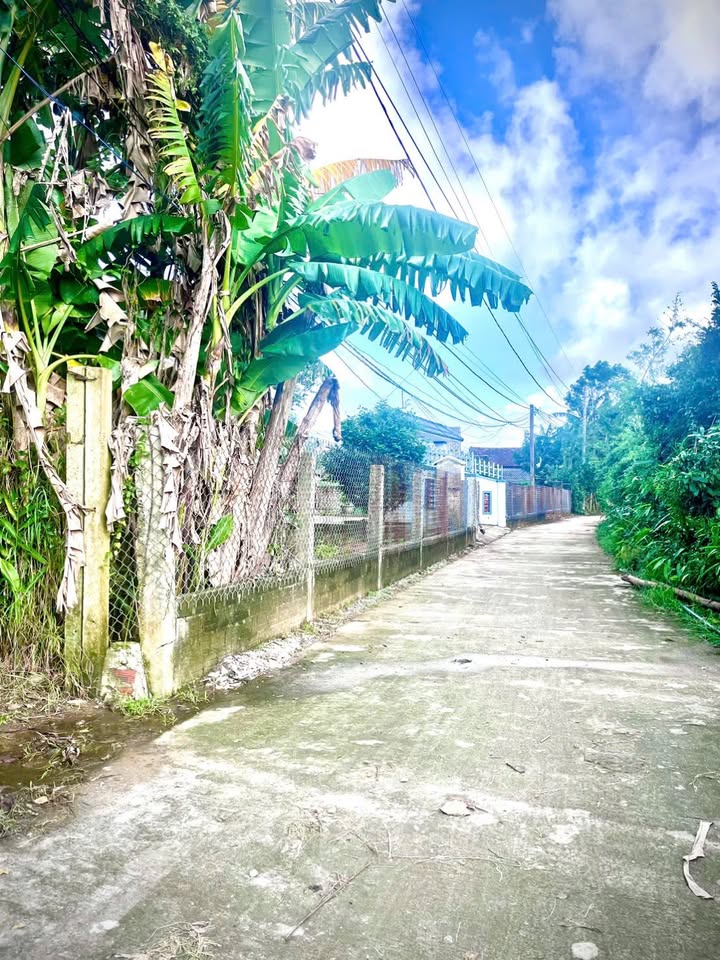 Đất nền Tịnh Thiện 899.2m² giá 1.1 tỷ - Cơ hội đầu tư tuyệt vời!