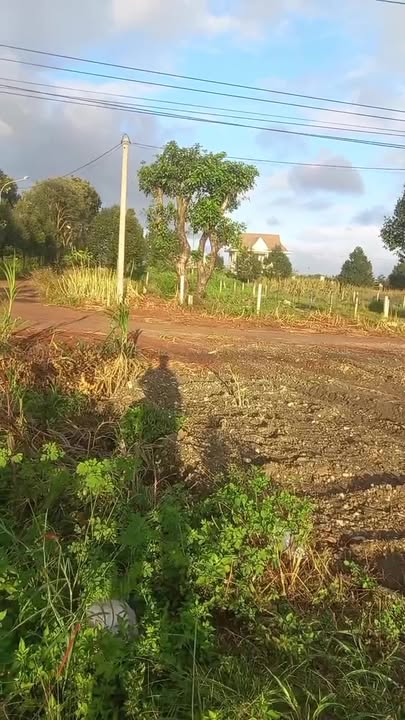 Đất thổ cư Chư Sê - Gia Lai 250m² giá 1.8 tỷ - Mặt tiền quốc lộ 14