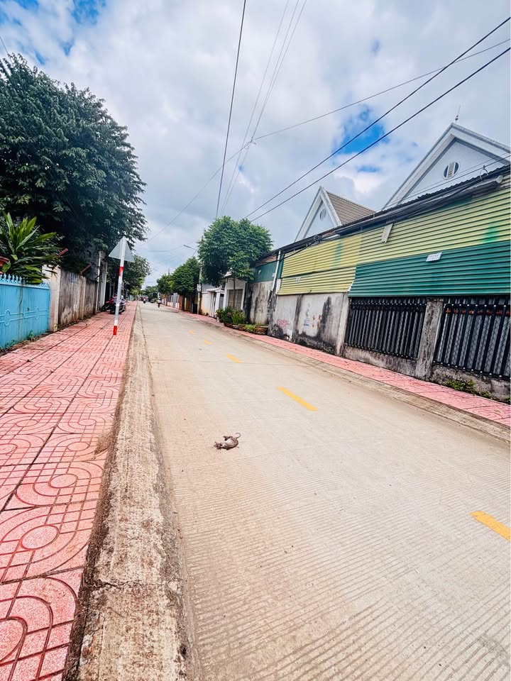 Đất thổ cư Hẻm 23 Mai Thị Lựu 65m² giá 2.35 tỷ - Vị trí đắc địa gần trường học!