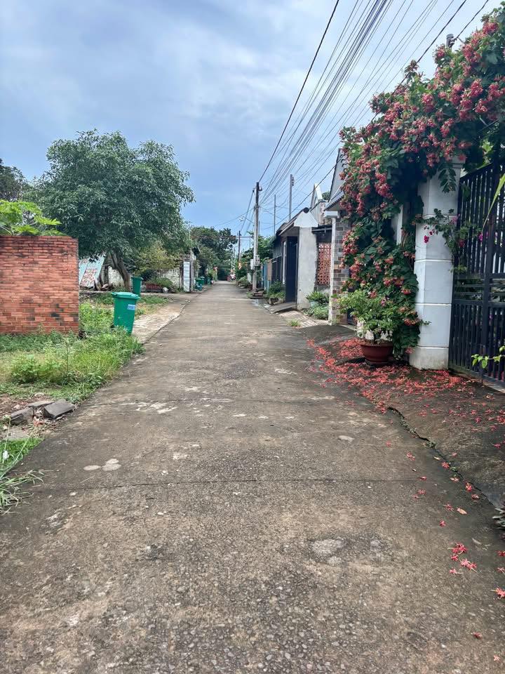 Đất nền Tây Hòa Trảng Bom 100m² giá 850 triệu - Sổ đỏ chính chủ, đầu tư sinh lời!