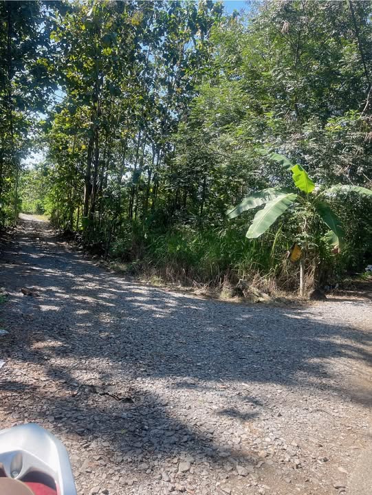 Đất nền xã Ngọc Định, Định Quán, Đồng Nai 1000m² giá 530 triệu - Đầu tư sinh lời nhanh!