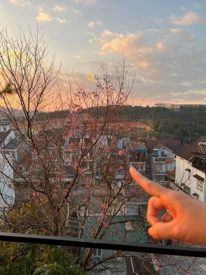 Đất hẻm ô tô Đường Cổ Loa, Đà Lạt 64m² giá 3.8 tỷ - Sổ riêng chính chủ!