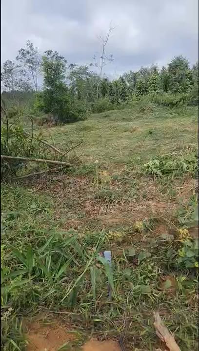 Đất nền 1,84ha tại xã Hra, huyện Mang Yang, Gia Lai - Giá chỉ 1,5 tỷ VND