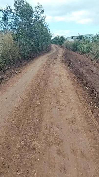 Đất Rẫy 90,000m² tại Kon Thụp - Sổ hồng đầy đủ, giá thỏa thuận!