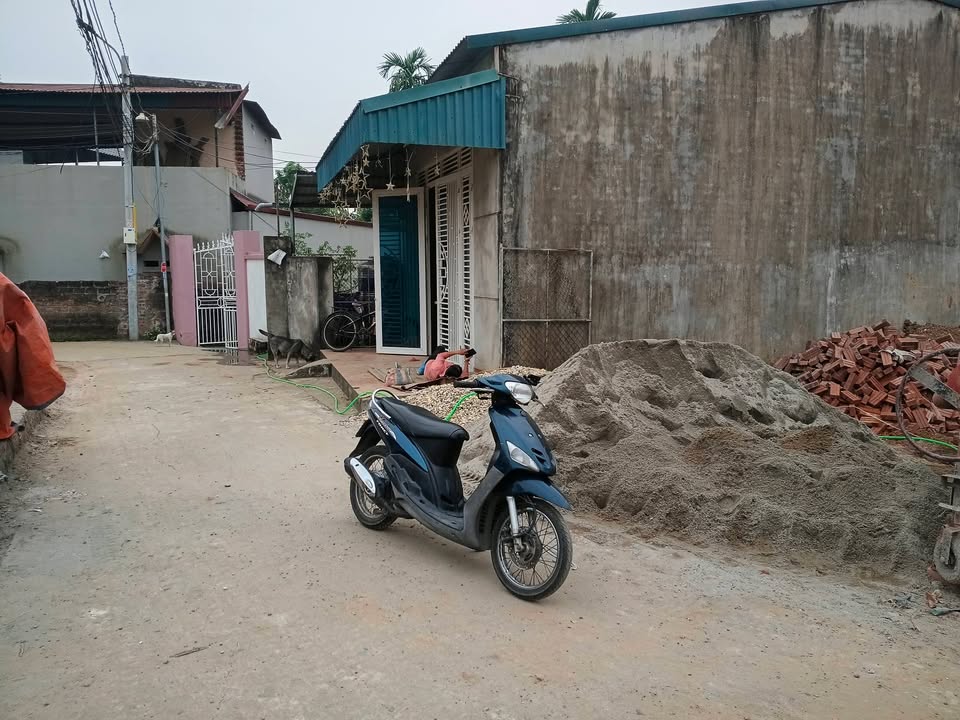 Đất đẹp tại phường Minh Phương, Việt Trì 115m² giá 2 tỷ - Đầu tư sinh lời hấp dẫn!