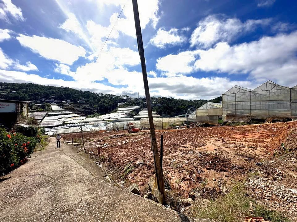 Đất thổ cư Đà Lạt 211m² giá 7 tỷ - Sổ hồng riêng, view đẹp!