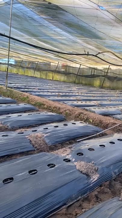 Đất sào Ka Đơn 11160m² giá 1.86 tỷ - Cơ hội đầu tư hiếm có!