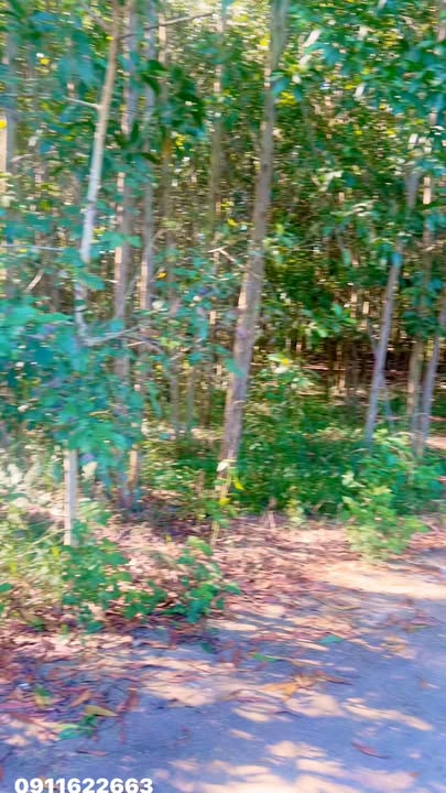 Đất nền Xuân Tâm, Xuân Lộc 1056m² giá chỉ 650 triệu - Cơ hội đầu tư tuyệt vời!