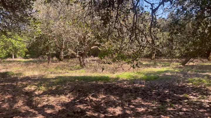 Đất nền 1.1ha tại xã Xuân Hoà, Đồng Nai - Giá chỉ 2.6 tỷ, sổ hồng chính chủ!