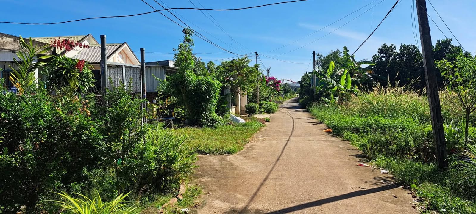 Nhà mặt tiền đường Hưng Long, 240m² giá 900 triệu - Cơ hội đầu tư tuyệt vời!