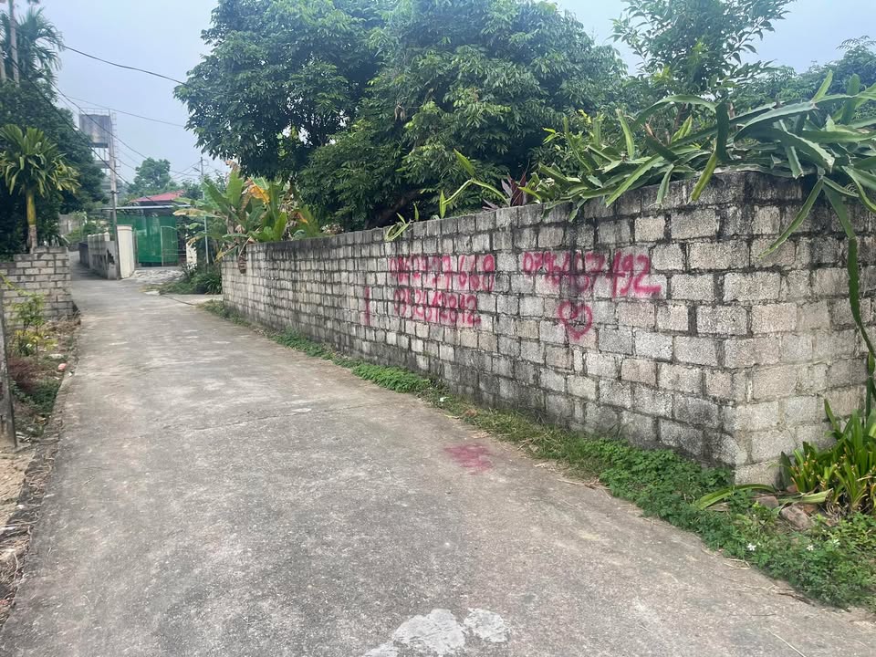 Đất Thổ cư Hóa Thượng 300m² giá 1.2 tỷ - Cơ hội đầu tư sinh lời!