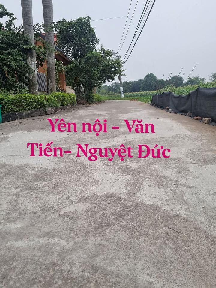 Đất nền Yên Lạc 100m² giá 2 tỷ - Sổ hồng sang tên ngay!