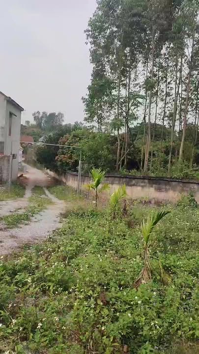 Nhà nghỉ dưỡng tại Lục Nam, Bắc Giang 100m² - Sẵn sàng sử dụng!