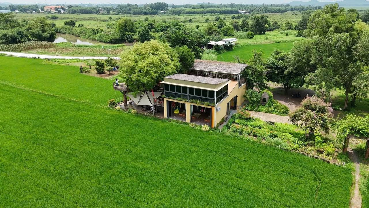 Đất Láng Dài Đất Đỏ 1998m² giá 8.5 tỷ - Mặt bằng đẹp, quán cafe sẵn hoạt động!