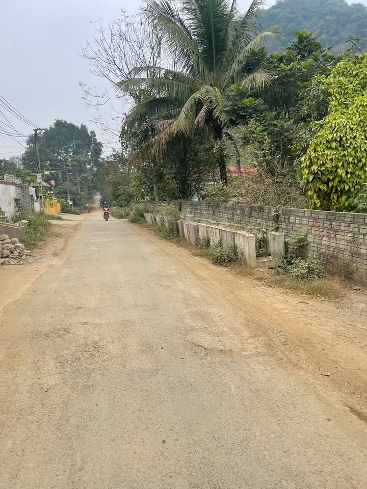 Đất nền chính chủ tại xã Cẩm Thủy, Thanh Hóa - Mặt tiền 12m, giá chỉ 1 tỷ!