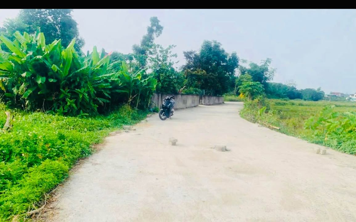 Đất Thái Thọ, Nghi Thái 107,5m² giá 1.4 tỷ - Vị trí đắc địa, chính chủ bán gấp!