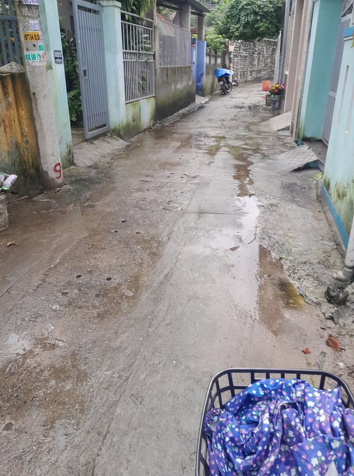 Đất nền Hòa Hiệp Nam Đà Nẵng 100m² giá 2.5 tỷ - Cơ hội đầu tư hấp dẫn!