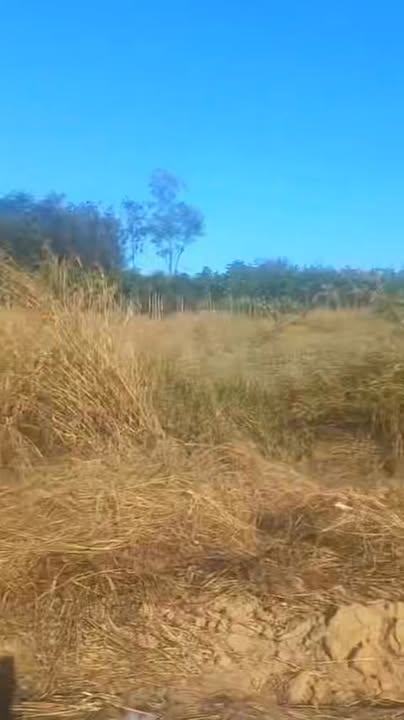 Đất nền Bù Nho, Phú Riềng 250m² giá chỉ 230 triệu - Sổ hồng riêng, cơ hội đầu tư tốt!