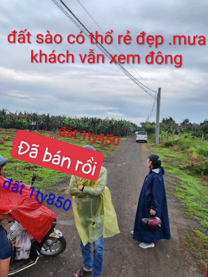 Đất thổ cư Tân An, Vĩnh Cửu 1800m² giá 1.85 tỷ - Cơ hội đầu tư hấp dẫn!