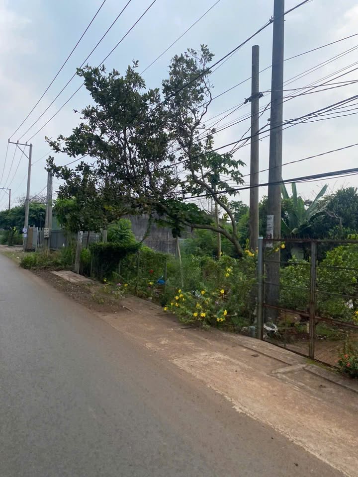 Đất nền Xuân Định 150m² - Sổ đỏ chính chủ, giá tốt không thể bỏ lỡ!