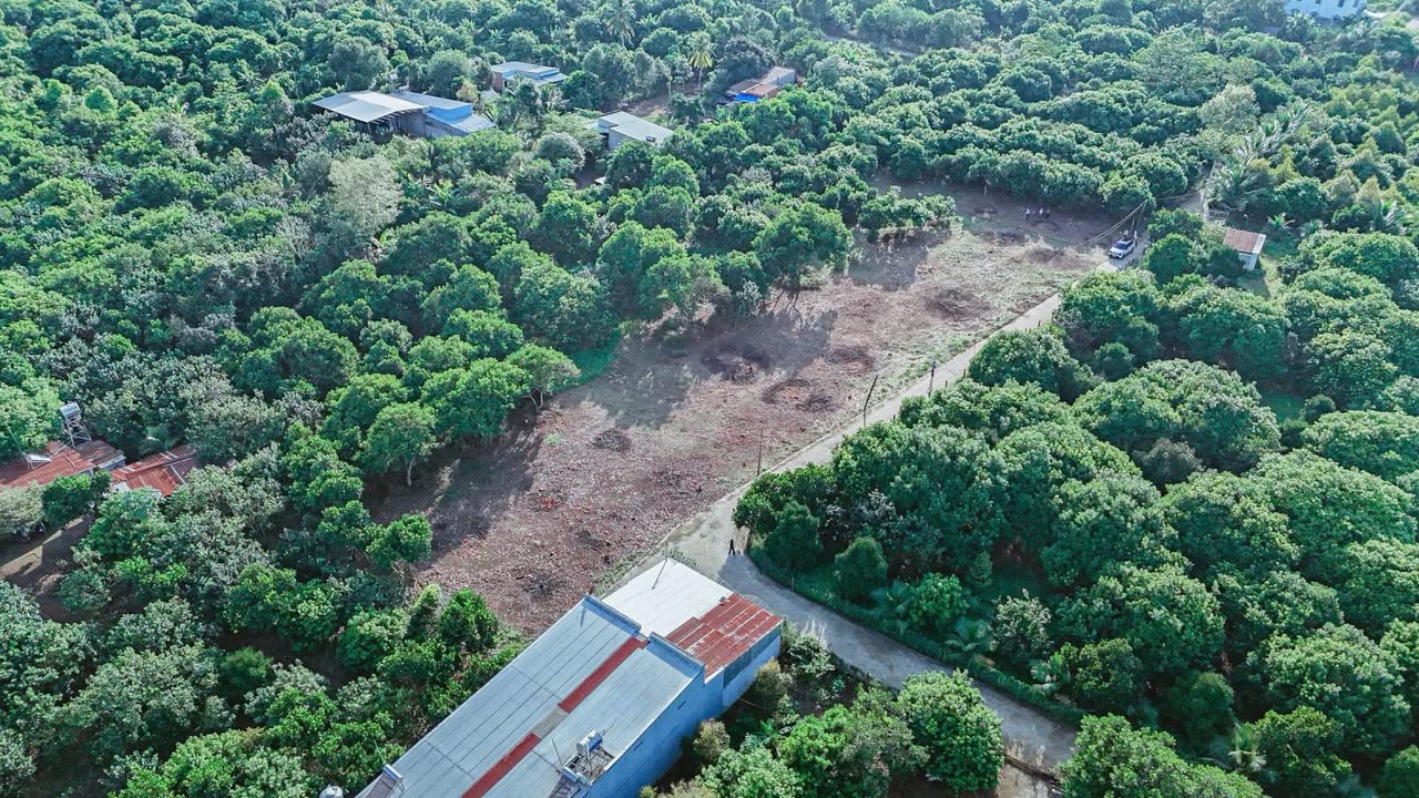 Đất nền ấp 1 Bình Lộc 102.5m² giá 790 triệu - Sổ riêng, vị trí trung tâm