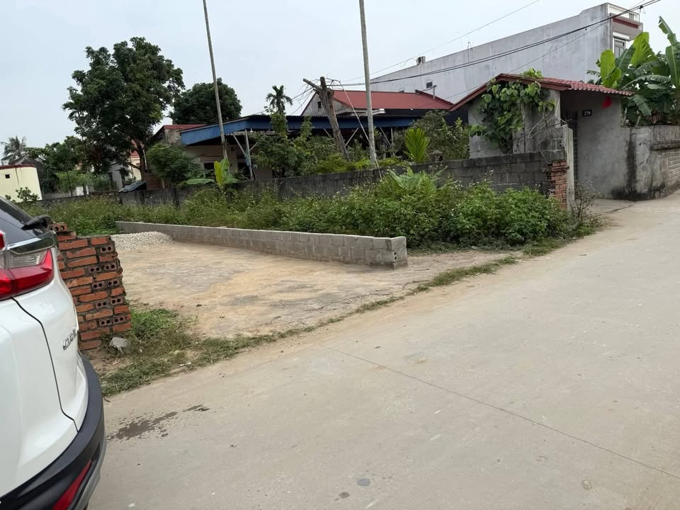 Đất nền Trường Sơn, An Lão 98m² chỉ 1 tỷ - Cơ hội đầu tư tuyệt vời!