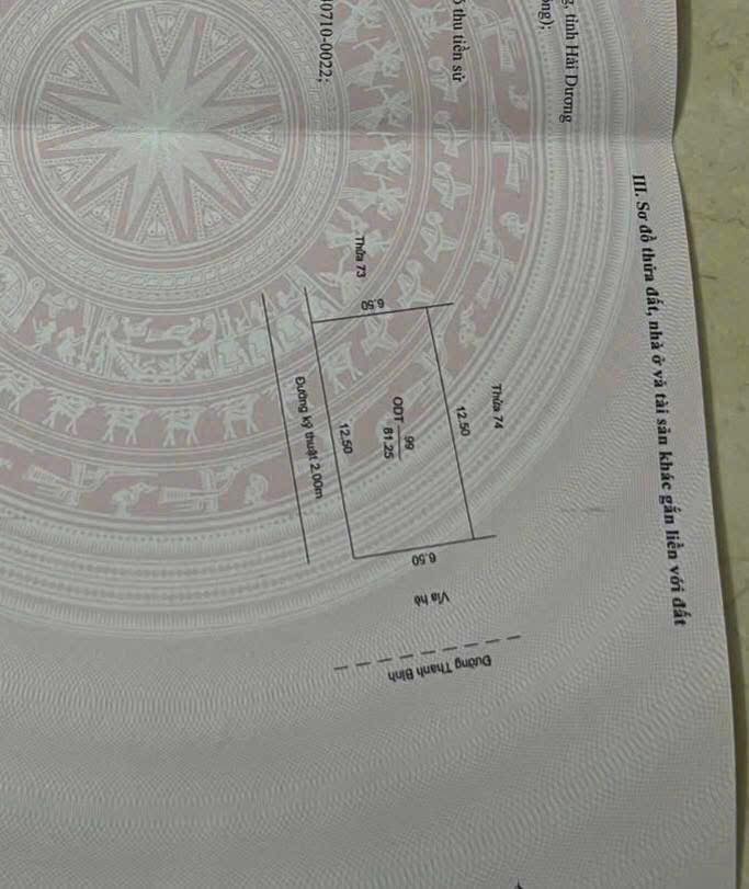 Đất nền đường Thanh Bình, Hải Dương 81.25m² - Mặt tiền kinh doanh đắc địa!