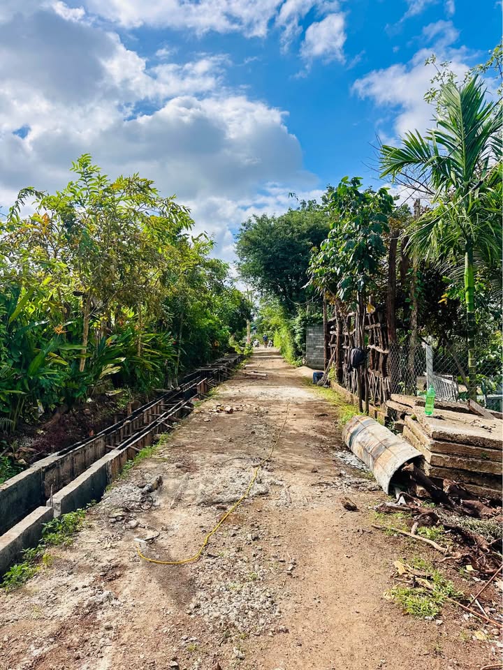 Đất nền xã Ea Kao 150m² giá 1.09 tỷ - View cánh đồng tuyệt đẹp!