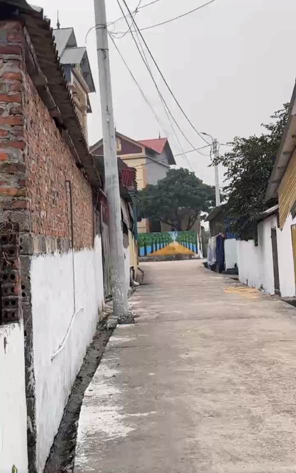 Đất nền 110m² Thanh Vân, Tam Dương chỉ 900 triệu - Giá rẻ hơn hàng xóm 100 triệu!