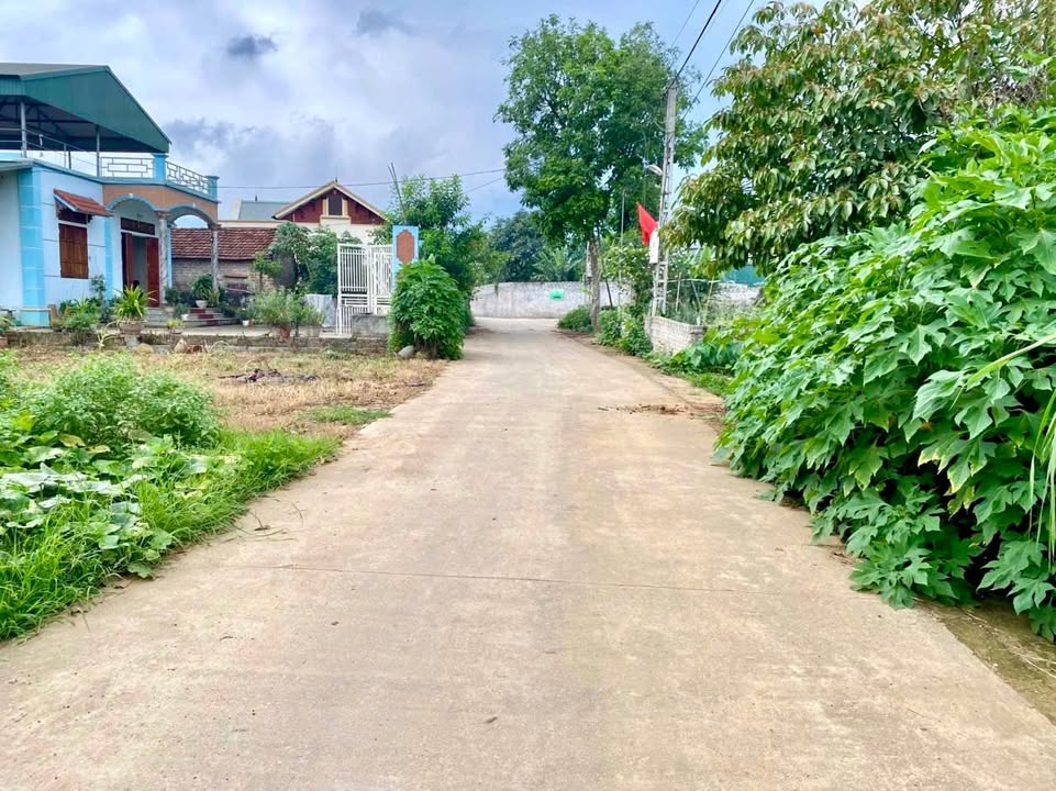 Đất Yên Bài Ba Vì 800m² - Đầu tư sinh lời, view núi tuyệt đẹp!