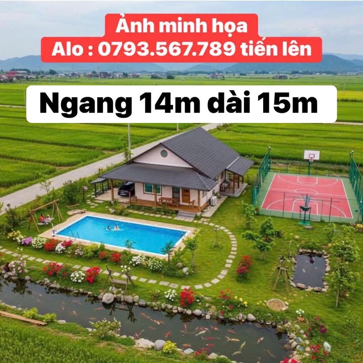 Nhà vườn 200m² tại Hòa Phong, Tây Hòa giá 565 triệu - Đầu tư sinh lời ngay!