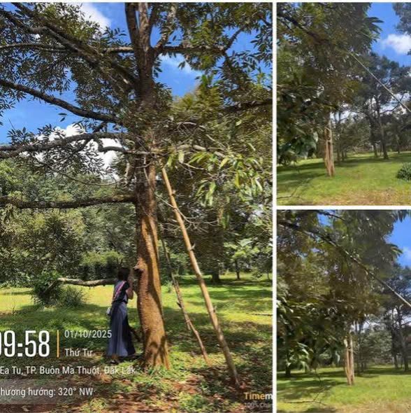 Đất nền hẻm cấp 1 đường Nguyễn Xuân Nguyên - Diện tích 600m² giá 1.27 tỷ - Sổ hồng chính chủ