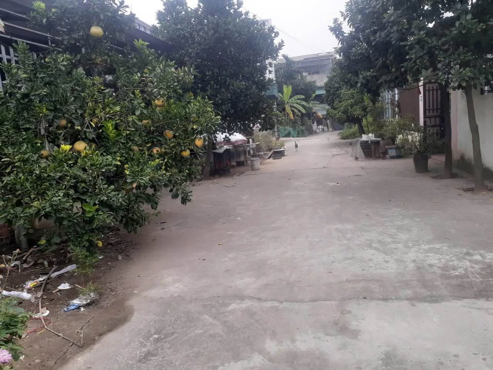 Đất nền 145m² tại khu Bèo Tròn, Cao Xá, Lâm Thao - Giá 2 tỷ, cơ hội đầu tư tốt!