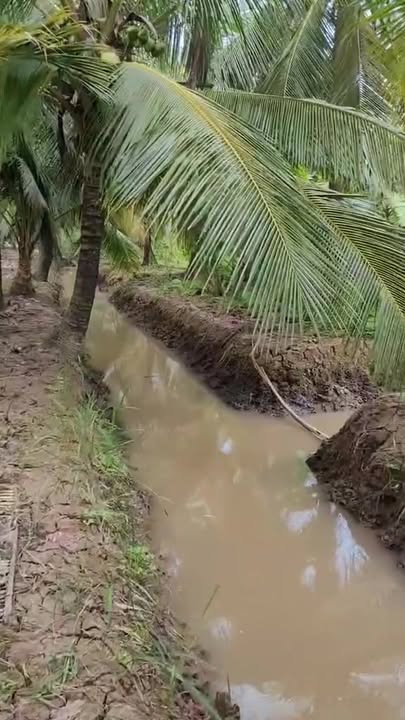 Đất mặt tiền xã Lộc Thuận 6057m² giá 3.5 tỷ - Cơ hội đầu tư hấp dẫn!