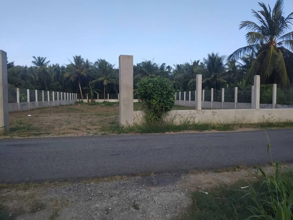 Đất nền mặt tiền lộ nhựa Mỹ Chánh, Ba Tri 1100m² giá 2 tỷ - Đầu tư sinh lời!