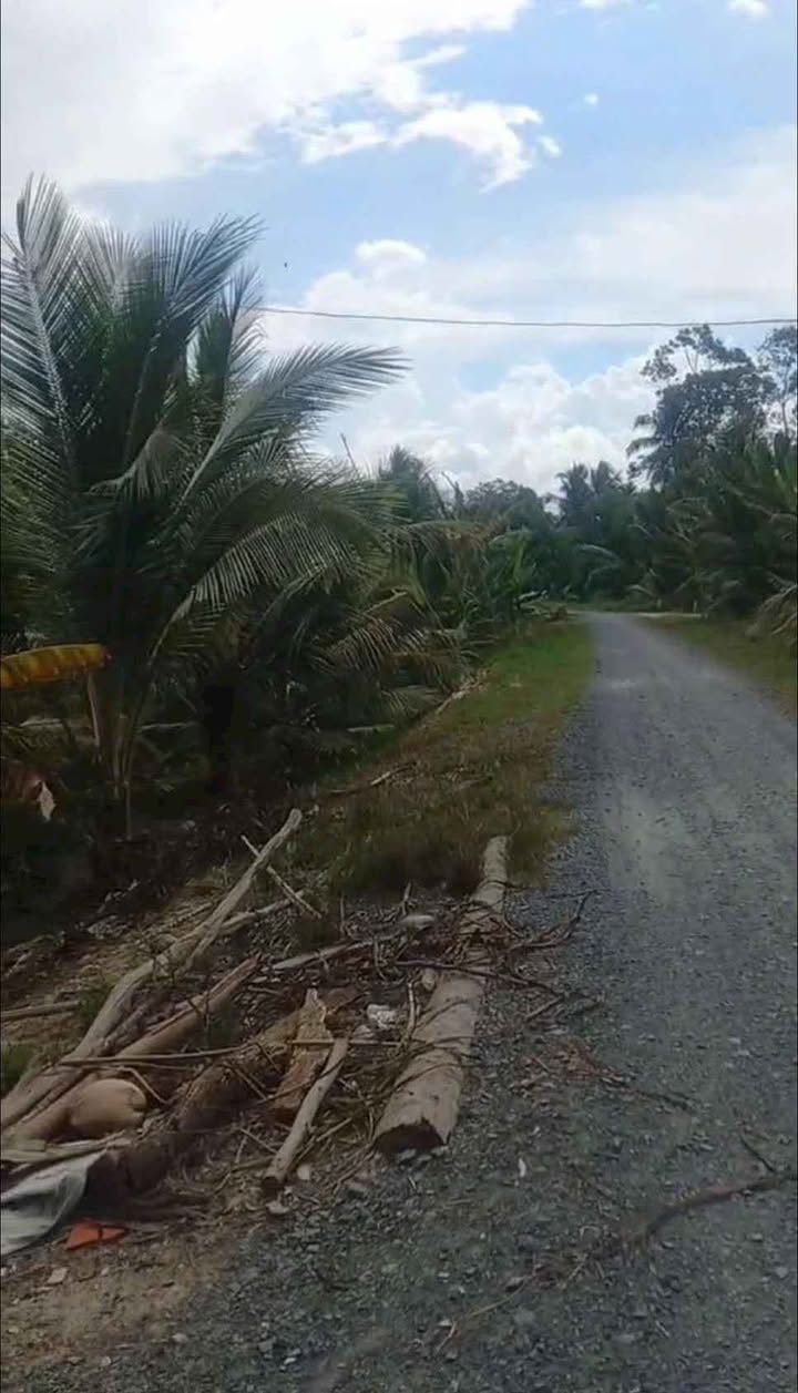 Đất vườn An Hiệp, Châu Thành, Bến Tre 2000m² giá 2.4 tỷ - Mặt tiền đường rộng rãi!