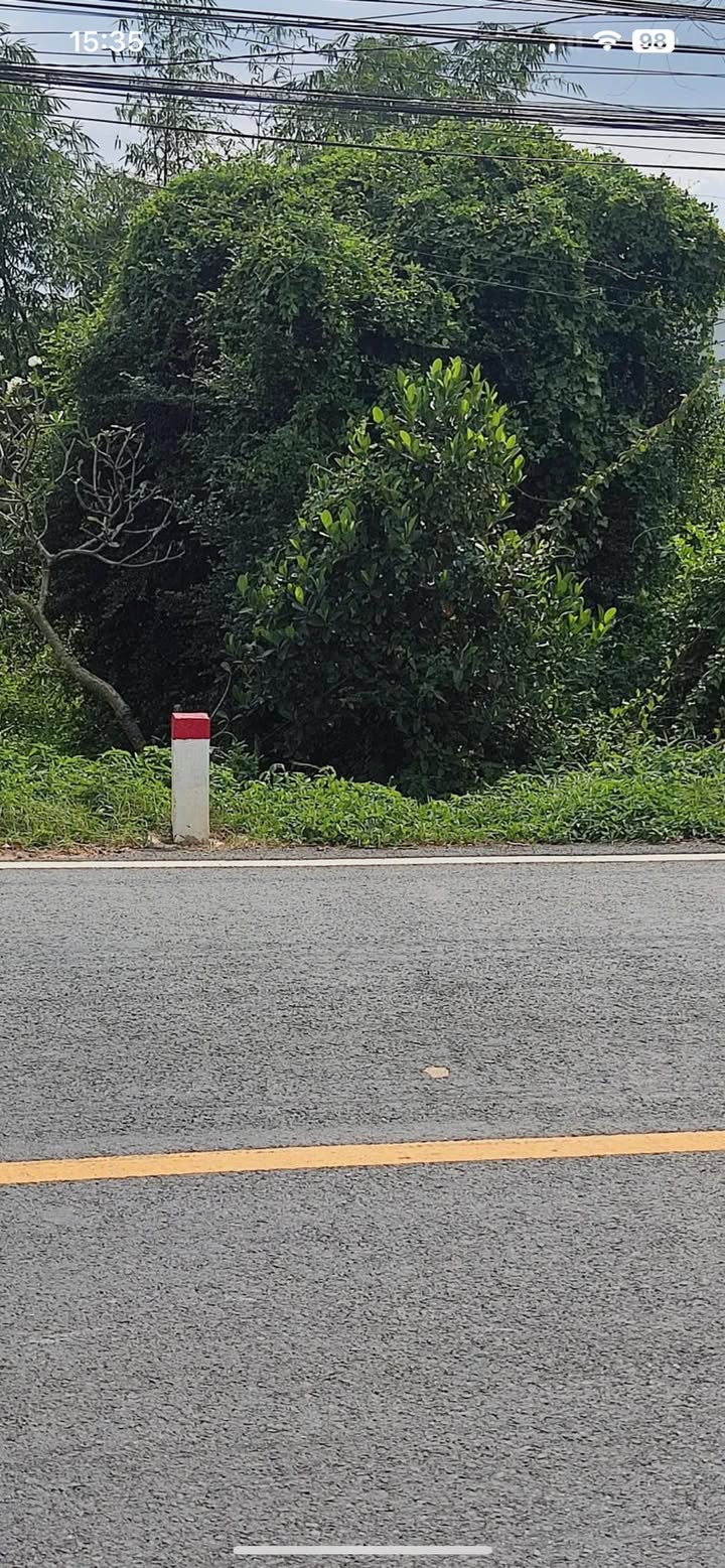 Đất nền 275m² tại Quốc lộ 60, xã Đa Phước Hội, giá chỉ 1.3 tỷ - Đầu tư sinh lời ngay!