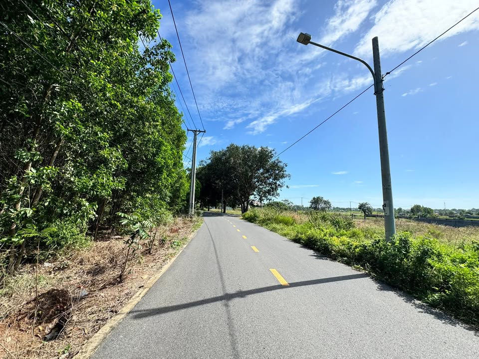 Đất Phước Hải 267m² giá 2.4 tỷ - Vị trí đắc địa, tiện ích đầy đủ!