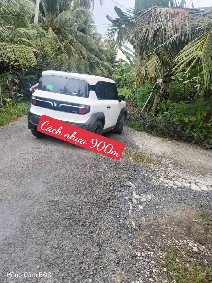 Đất nông nghiệp Hiếu Nhơn, Vũng Liêm 50.000m² giá 600 triệu - Đang cho thuê sinh lời!