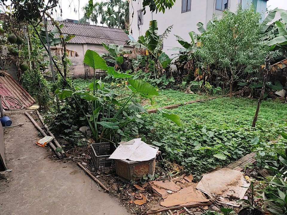 Đất nền Đồng Mai 40m² giá 3 tỷ - Cơ hội đầu tư sinh lời!