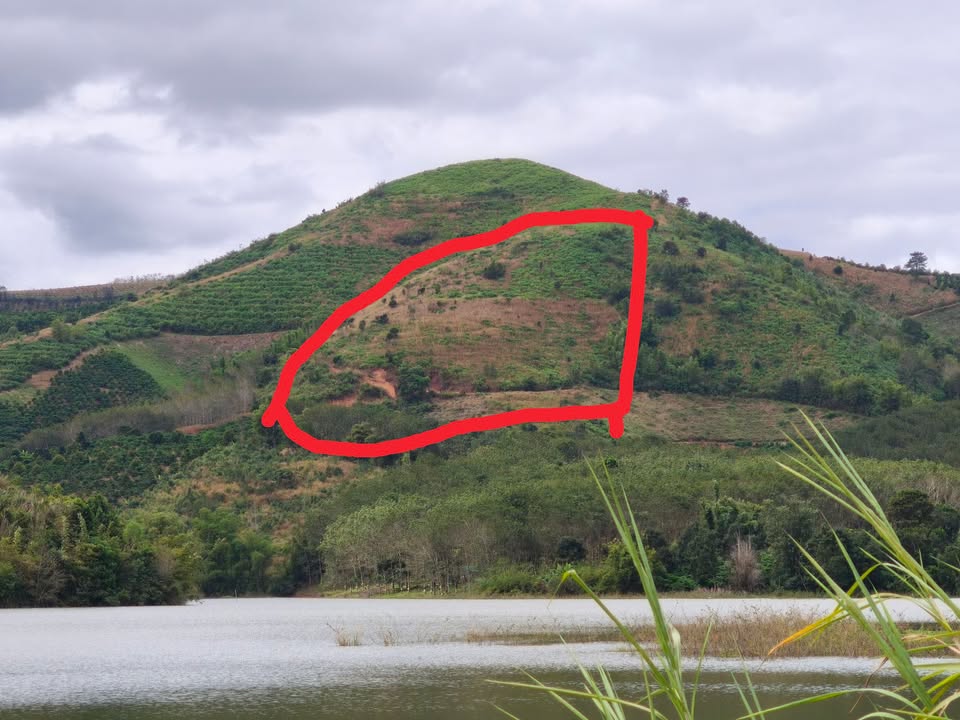 Đất nông nghiệp 4ha tại thôn Iệc, xã Bờ Y, giá 1.4 tỷ - Cơ hội đầu tư hấp dẫn!