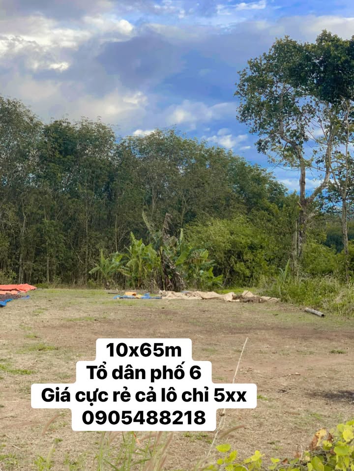 Đất thổ cư Plei Kần 650m² giá 500 triệu - Cơ hội đầu tư tuyệt vời!