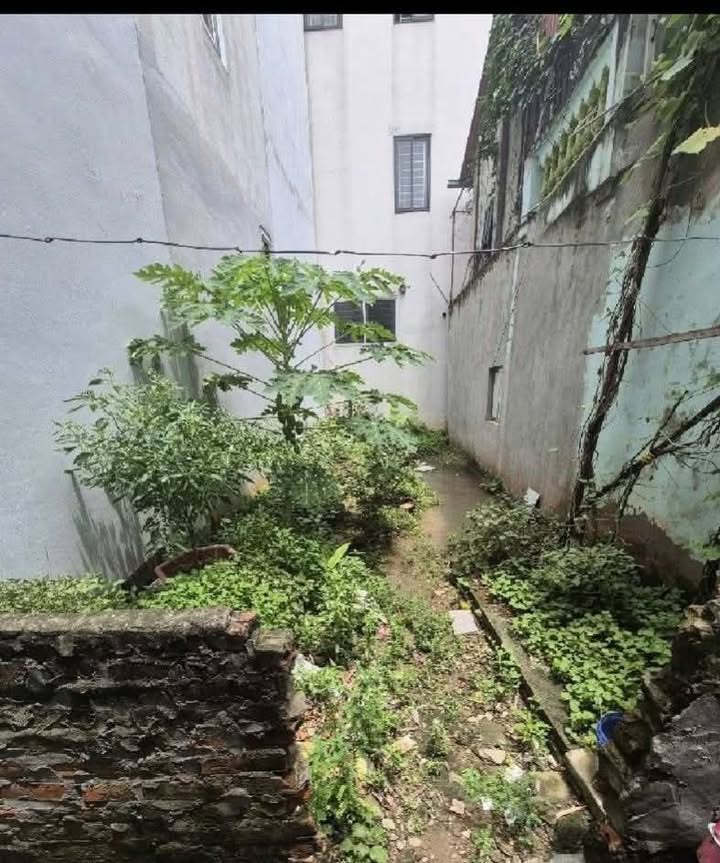 Đất nền Tứ Hiệp, Thanh Trì 47m² giá 5 tỷ - Đầu tư sinh lời ngay!