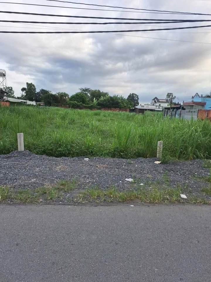 Đất lô góc Mặt tiền đường 218, xã Tân Thông Hội, 120m² - Vị trí kinh doanh lý tưởng!