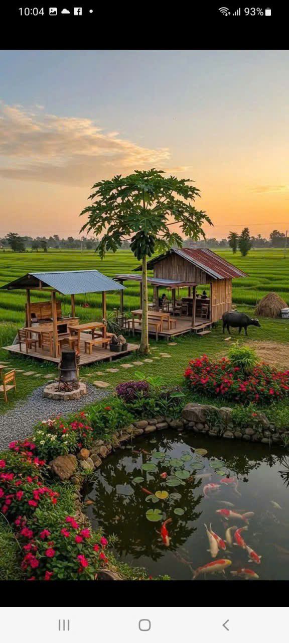 Đất nền 1000m² tại Thành Hải, Phan Rang - Giá chỉ 350 triệu!