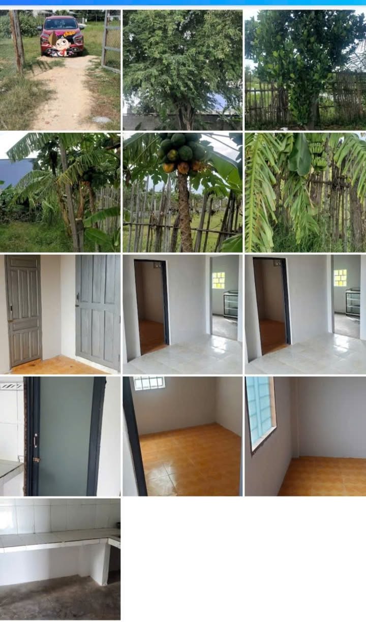 Nhà vườn An Thạnh 2, Ninh Phước 750m² giá 680 triệu - Sẵn sàng vào ở!