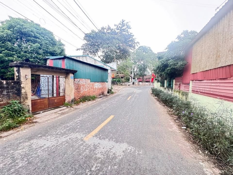 Đất nền 100m² tại Minh Trí, Sóc Sơn - Đầu tư sinh lời hấp dẫn!